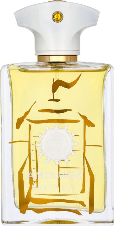Produktbild Amouage Beach Hut (Eau de Parfum, 100 ml)