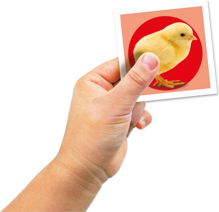 Immagine prodotto Clementoni Gioco di memoria per bambini animali compatti 4+