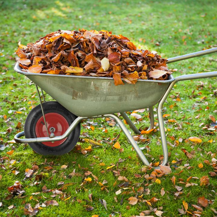 Actual product image Relaxdays Wheelbarrow wheel