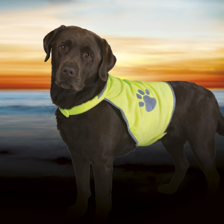 Immagine prodotto Trixie Gilet di sicurezza per cani (L, Gilet per cani)
