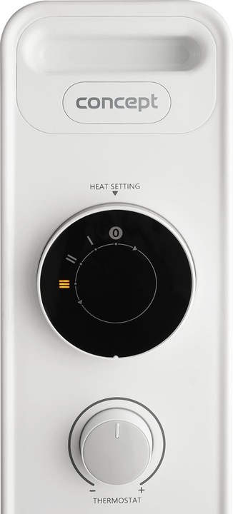 Actual product image Concept RO3309 (2000 W)