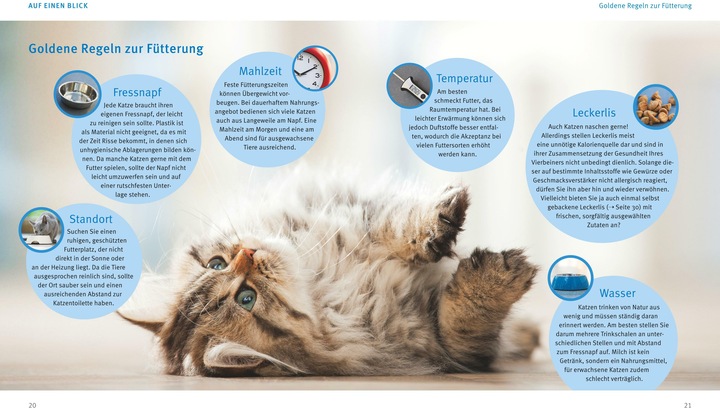 Produktbild Katzen gesund ernähren (1 Stk., 171 g)