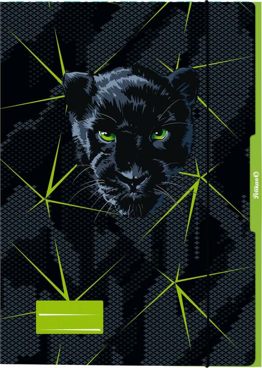 Bunt, Grün, Schwarz