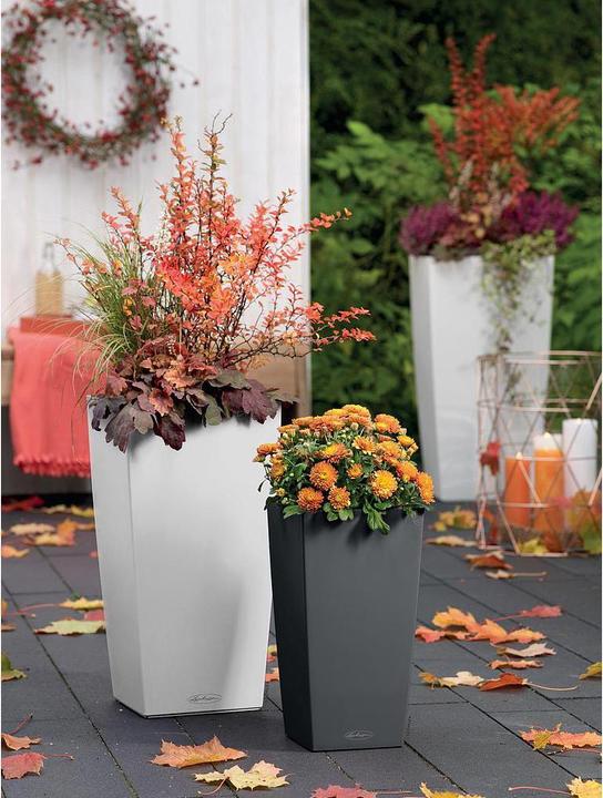 Actual product image Lechuza Cubico Color (29.50 cm)