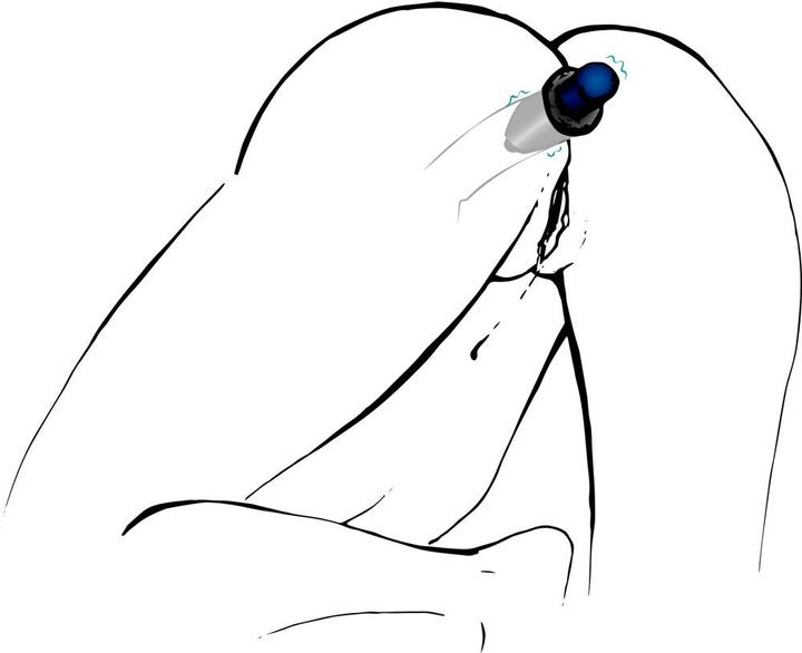 Actual product image You2Toys Lust Tunnel