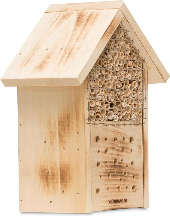 Windhager Zur Post (Wildbienen)