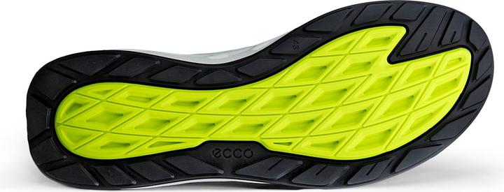 Actual product image Ecco Biom 720 (44)