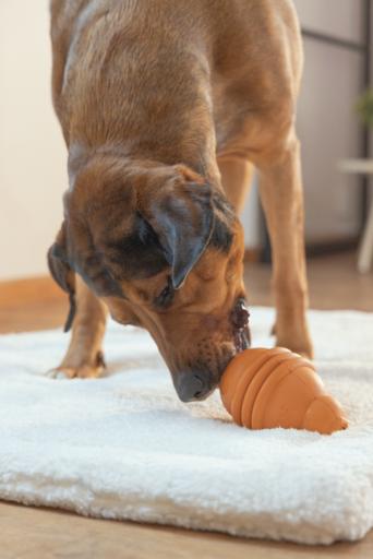 Image du produit Beeztees Sumo Play (Jouet à mâcher pour chien)