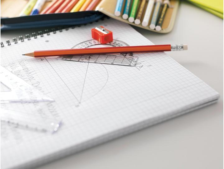 Actual product image Elco College notebook (A4, Checked, Soft cover)