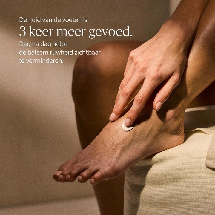 Produktbild L'Occitane Shea Butter (150 ml)