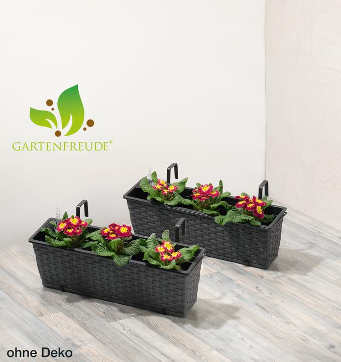 Actual product image Gartenfreude Balcony box (60 x 18 x 19 cm)