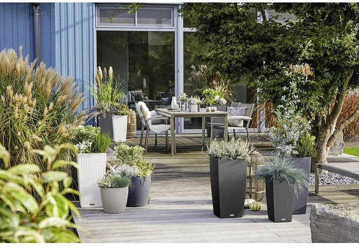 Immagine prodotto Lechuza Cubico Cottage (29.50 cm)