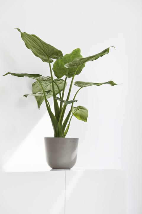 Produktbild Ecopots Oslo Mini (16 x 13.70 cm)