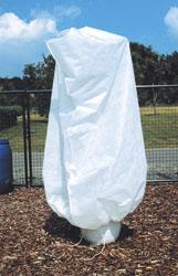 Image du produit Bio Green Jumbo