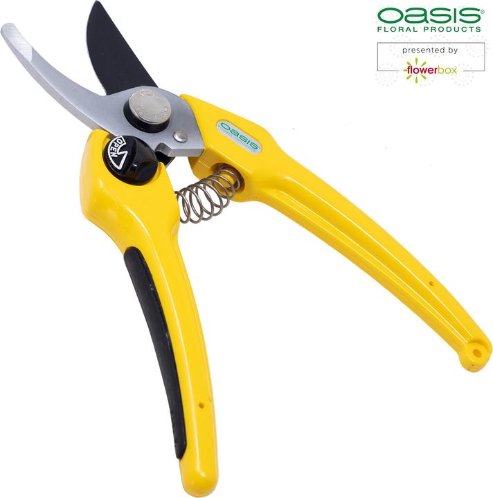 Actual product image Oasis Professional florist scissors