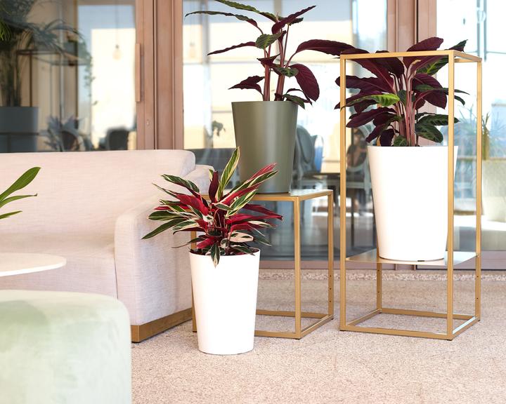 Produktbild Artevasi Porto High Pot