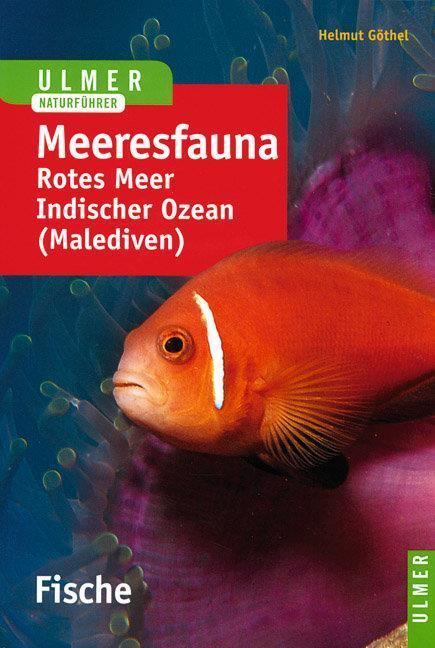 Produktbild Meeresfauna. Fische (Deutsch, Helmut Göthel, 2003)