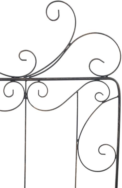 Immagine prodotto CLP Mandevilla a traliccio, bronzo (1 cm, 99 cm)