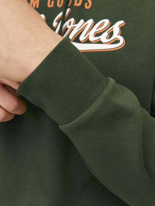Immagine prodotto Jack & Jones JJELOGO SWEAT HOOD 2 COL 24/25 NOOS (XS)
