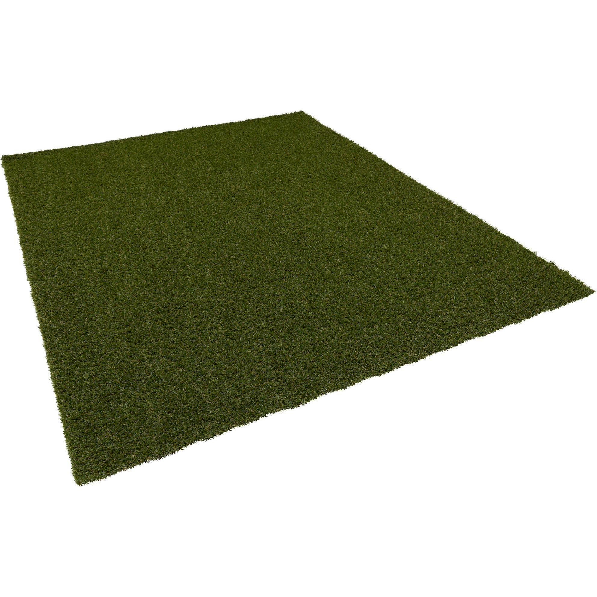 Snapstyle, Gartenbodenbelag, Rasenteppich (1 x, 200 x 50 cm)