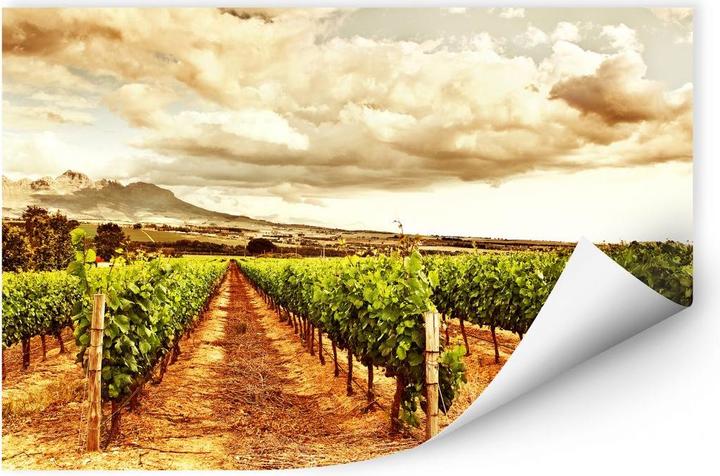 Produktbild Trenddeko Weinreben in den Bergen (100 x 70 cm)