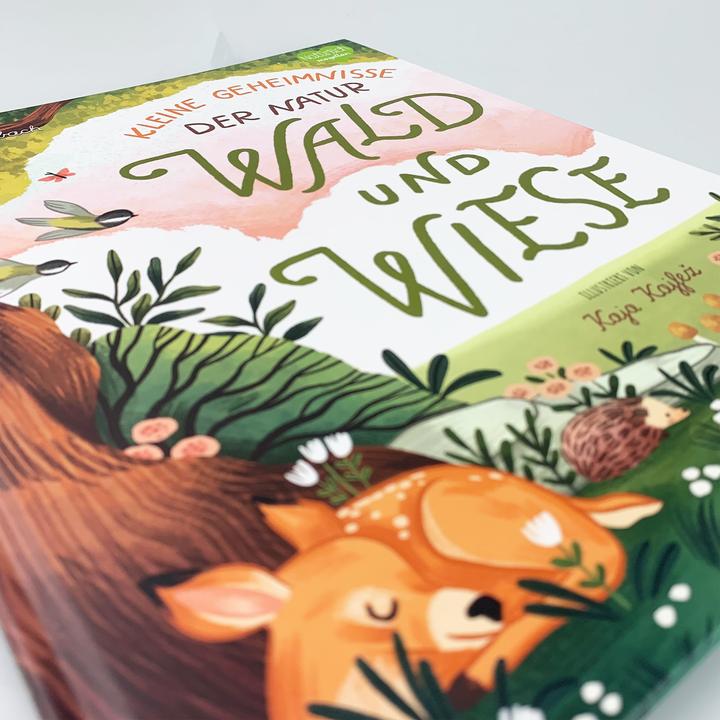 Produktbild Kleine Geheimnisse der Natur - Wald und Wiese (Deutsch, Kaja Kajfež, Stütze & Vorbach, 2022)