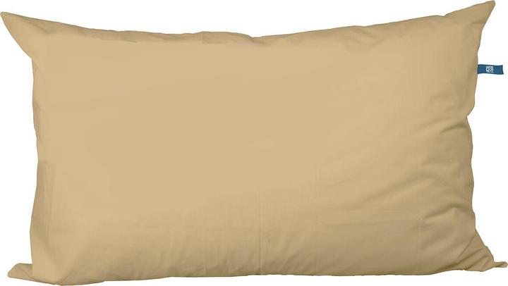 Produktbild La Redoute Interieurs Lri Bigpillow (65 x 100 cm)