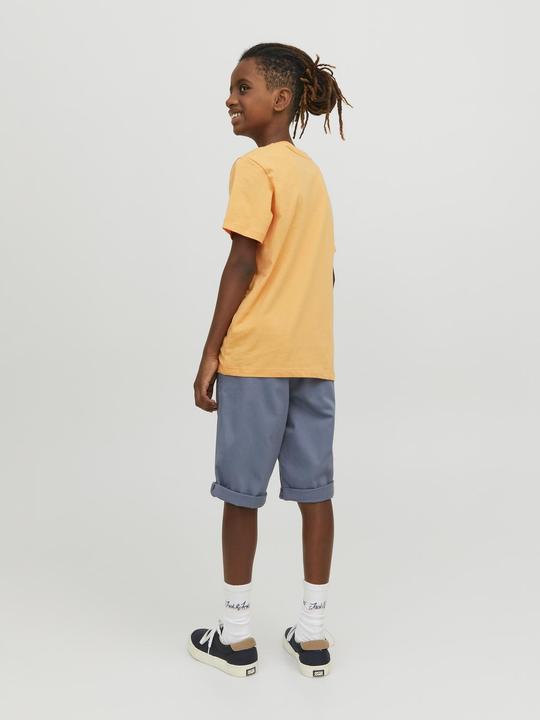 Image du produit Jack & Jones Jpstbowie Jjshorts Solid Sa Sn Jnr (164)
