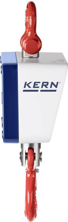 Actual product image Kern Suspension scale