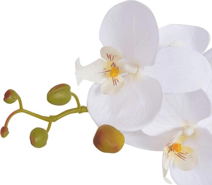 Produktbild vidaXL Orchidee (75 cm)