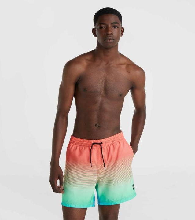 Actual product image O'Neill Jack Cali Gradient 15" Swim Shorts (L)