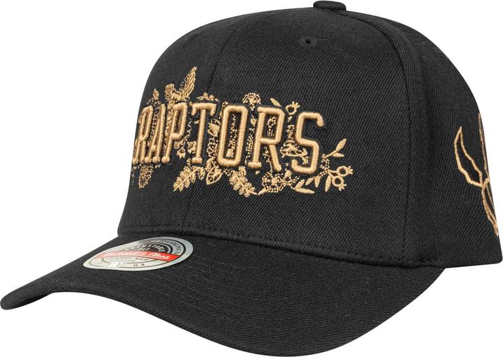 Produktbild Mitchell & Ness Snapback Stretch Cap - Haze Toronto Raptors