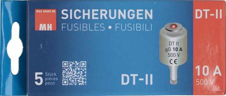 Actual product image Max Hauri Fuse DT, 5 pieces (10 A)