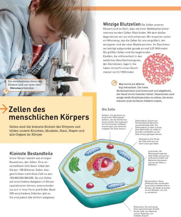 Produktbild Unser Körper (Deutsch, 2023)