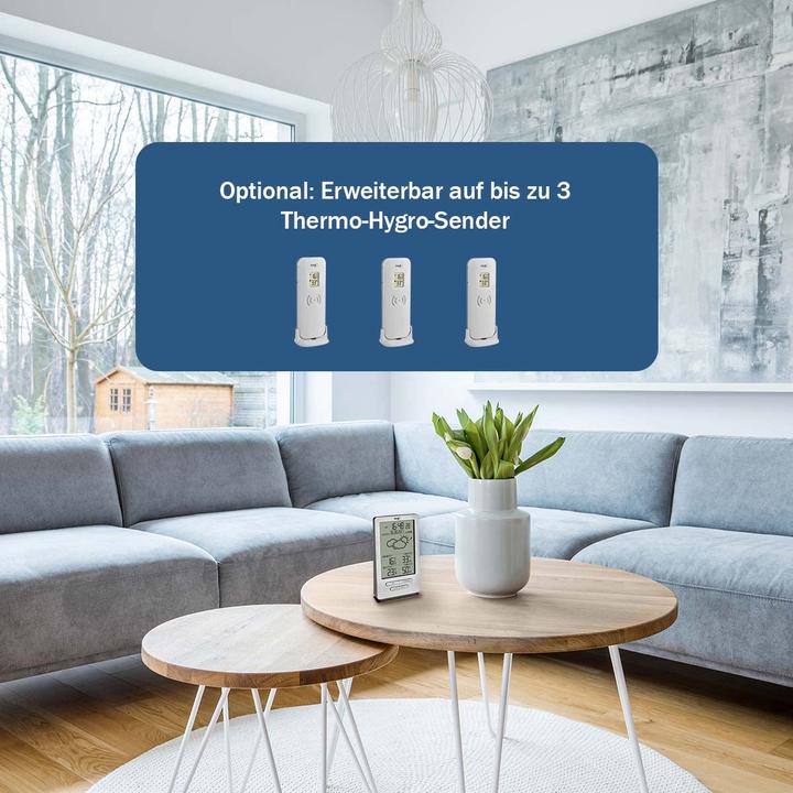 Actual product image TFA Xena