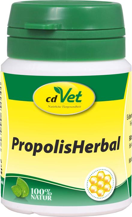 Actual product image cdVet PropolisHerbal (Adult, 1 pcs., 20 g)