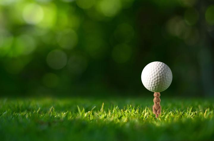 Produktbild Kikkerland Gopher Golf Tee S/6