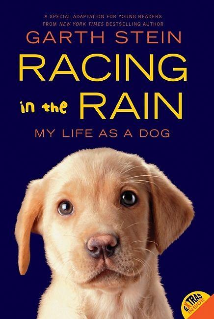 Produktbild Racing in the Rain (Englisch, 2011)