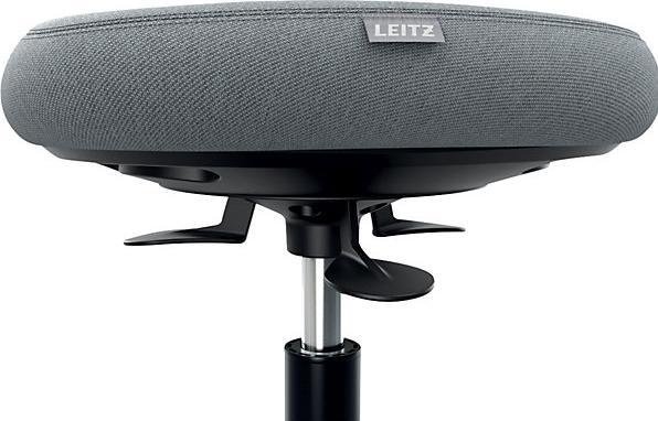 Actual product image Leitz Ergo Active