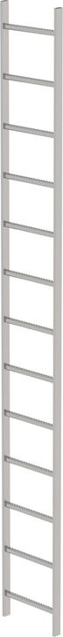 Productafbeelding Munk Roestvaststalen schachtladder V4A 400 mm vrije breedte 13 sporten (5 cm)