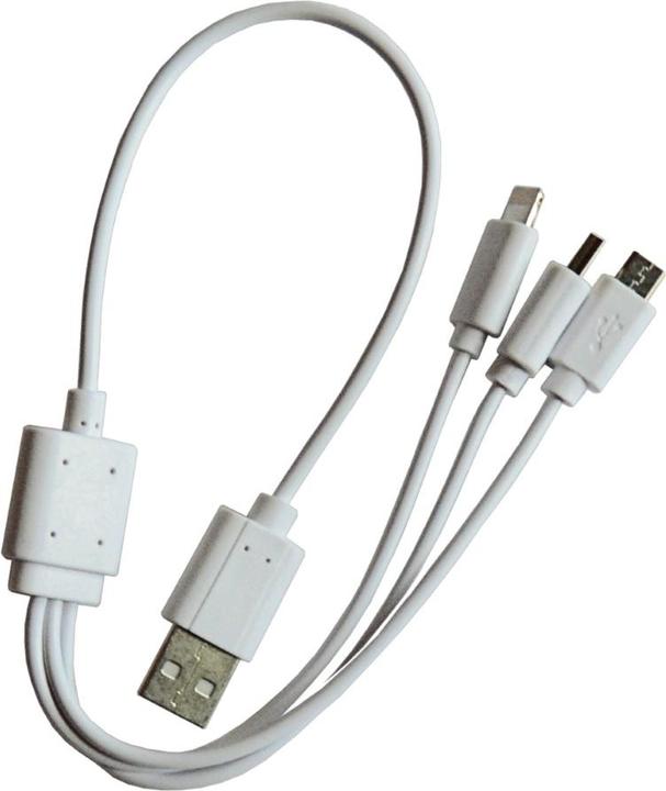Actual product image Deca Emergency starter and FAST 300 power bank (12V, 500 A)