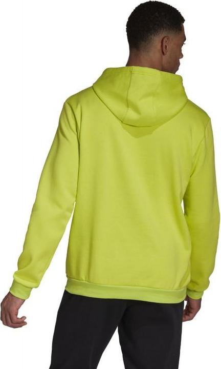 Actual product image adidas Entrada 22 Sweat Hoodie (M)