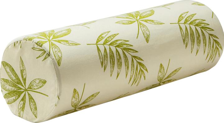 Image du produit Erwin Müller Coussin dorsal avec traversin (Litière)