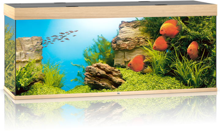Immagine prodotto Juwel Aquarium Rio (450 l)