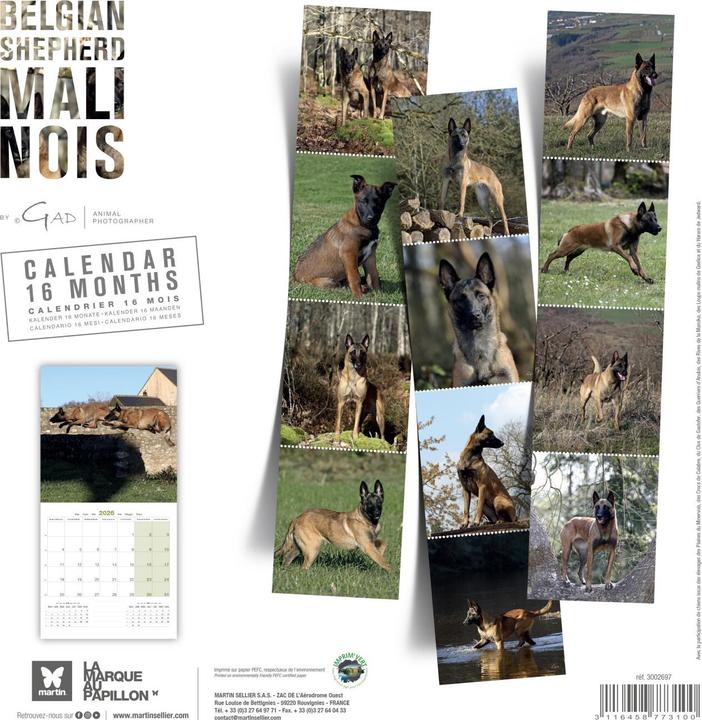 Produktbild Martin Sellier Berger Belge Malinois