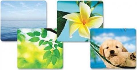 Actual product image Fellowes Ocean (S)