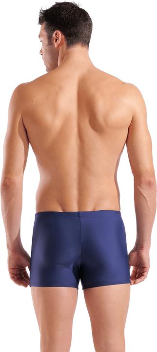 Actual product image Arena Basic Swim Short (L)