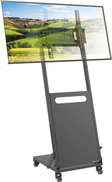 Produktbild Techly EFB TV Wagen fur LCD/LED TV 63,5cm 25Zoll - 139,7cm 55Zoll schwarz (55", 30 kg)