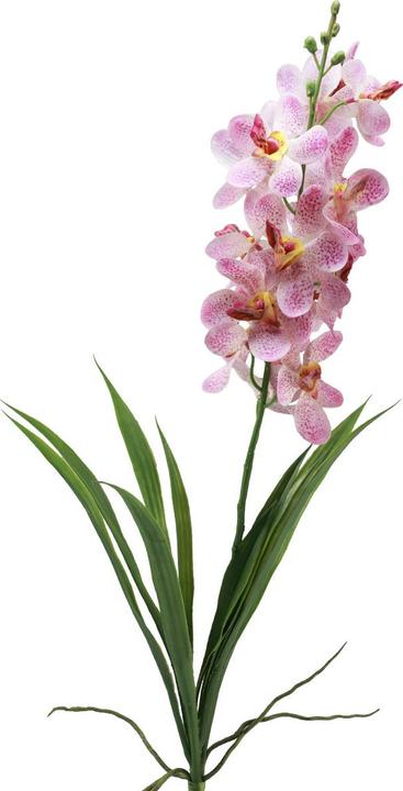 pflanztopf rostoptik Rost Deko Blumentopf Pflanztopf  Rostikal