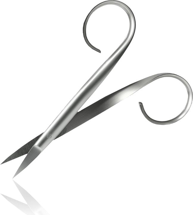 Image du produit Rubis Sauro